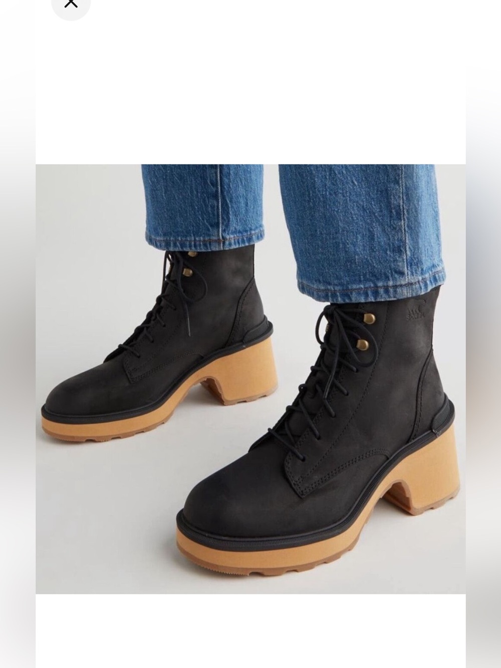 Sorel Women's Hi-Line Heel Lace Boot - Black/Tawny Buff